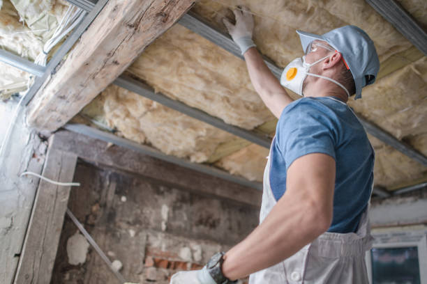 Best Eco-Friendly Insulation in Bridgeport, WV
